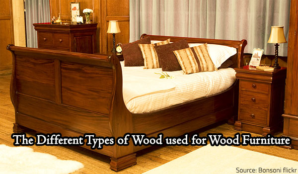 Types of wood for used in furniture making.