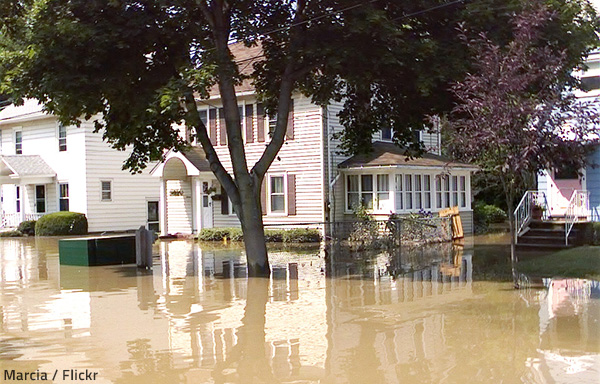 How Excess Water and Flooding Damage Your Furniture