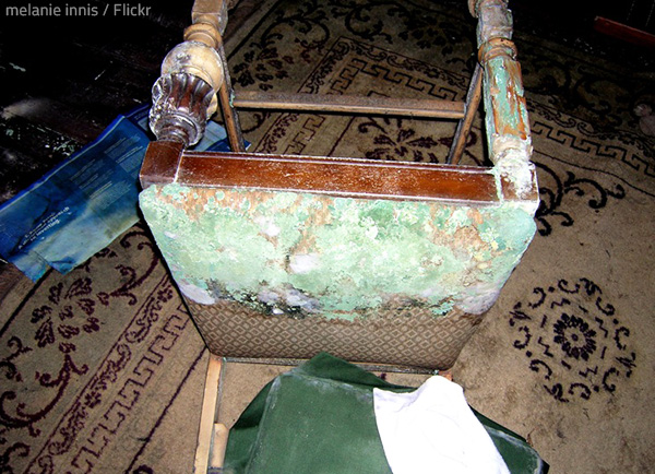 The effect of water damage on furniture is severe.